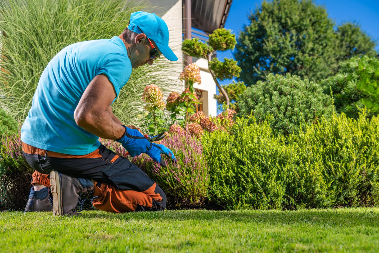 Analyze Performance Best Practices for Lawn Care Pros