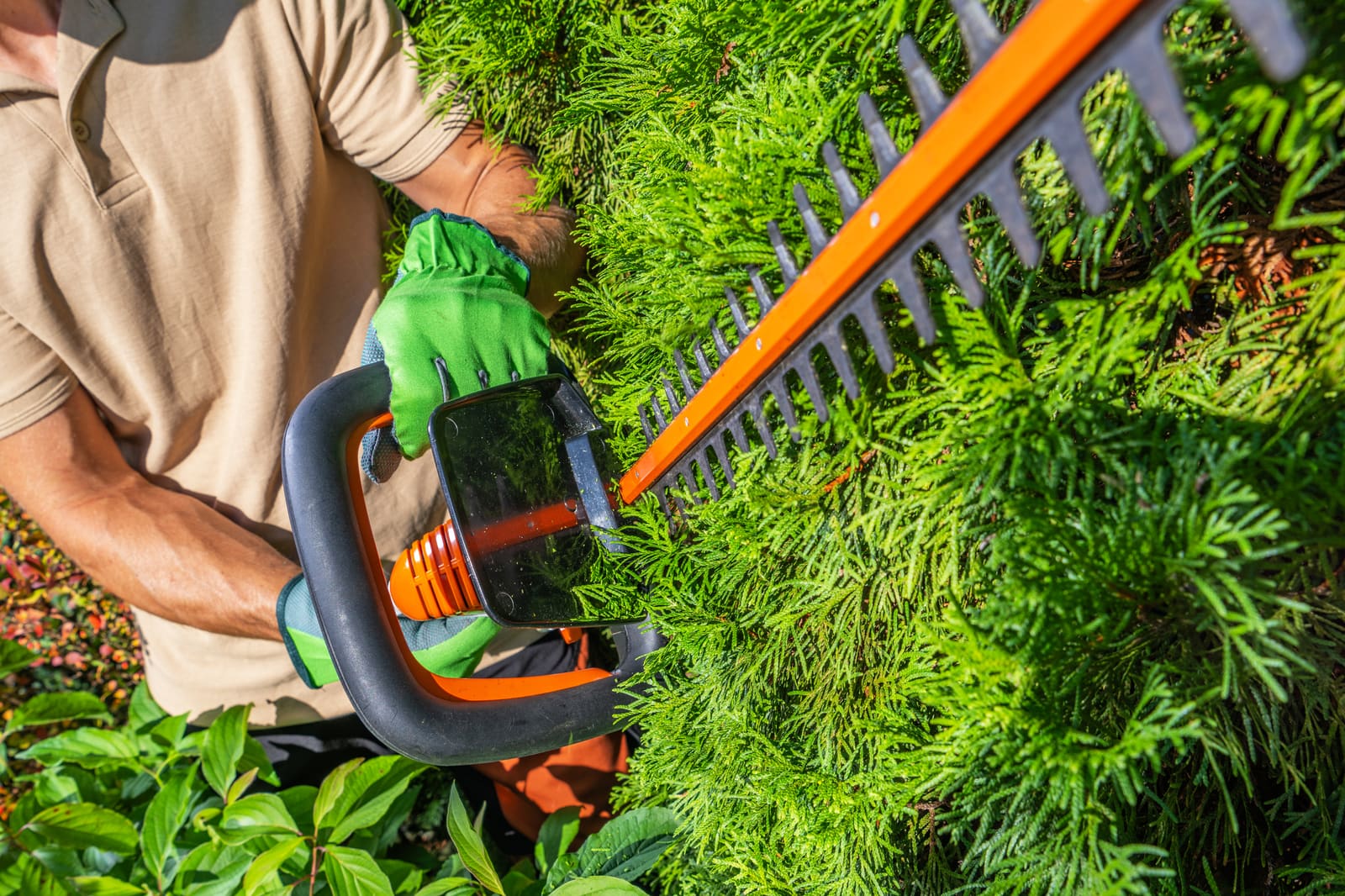 How to Integrate Green Practices into Daily Operations