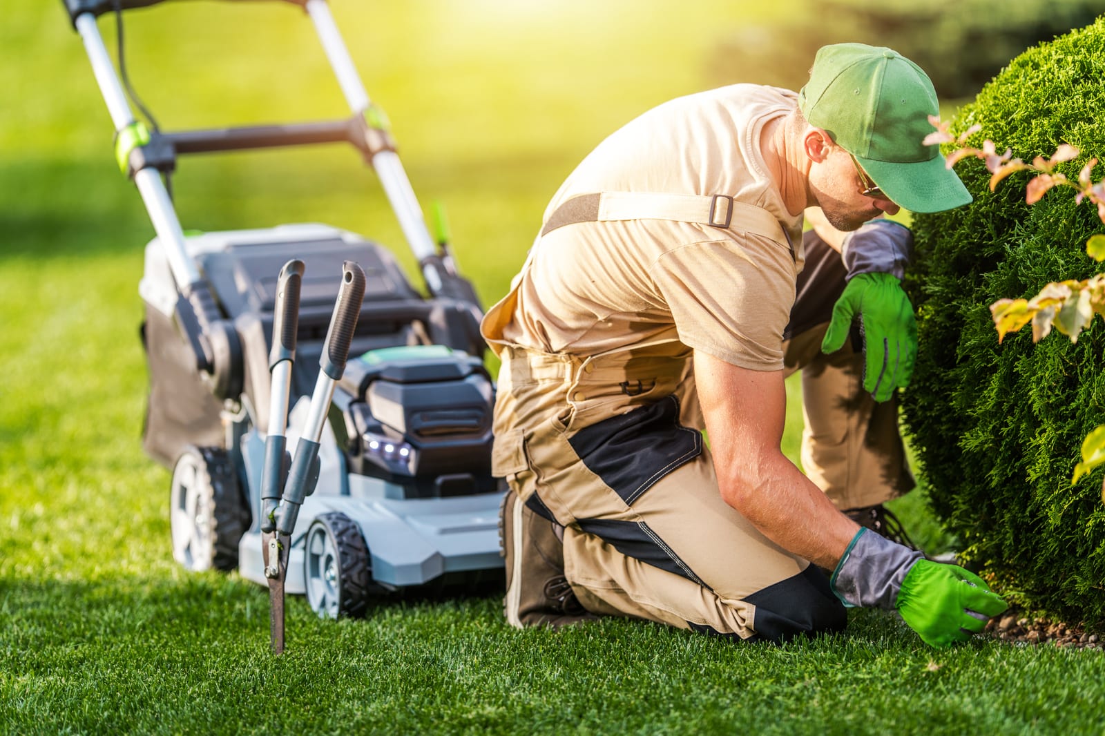 Preparing Clients for Seasonal Lawn Transitions