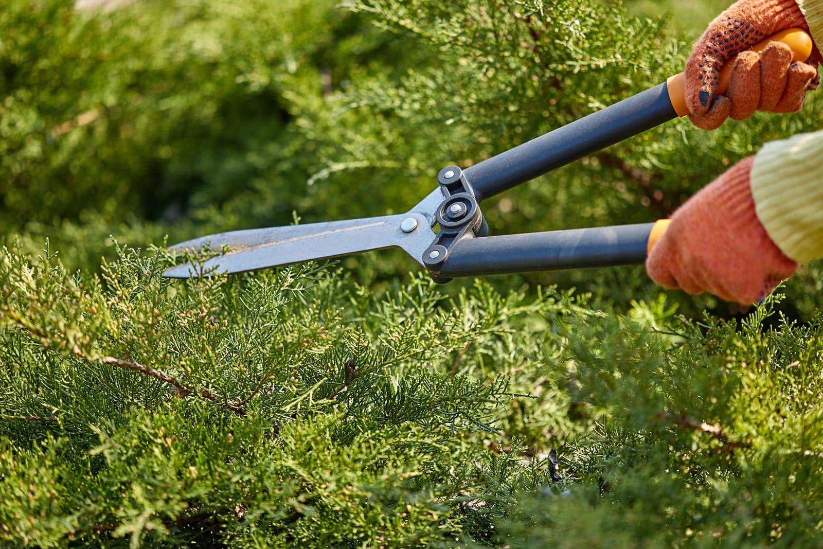 The Best Sustainable Equipment Brands for Lawn Care
