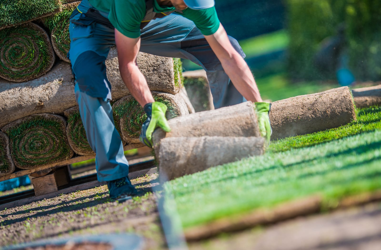 How to Prepare Your Lawn Care Business for Spring Growth
