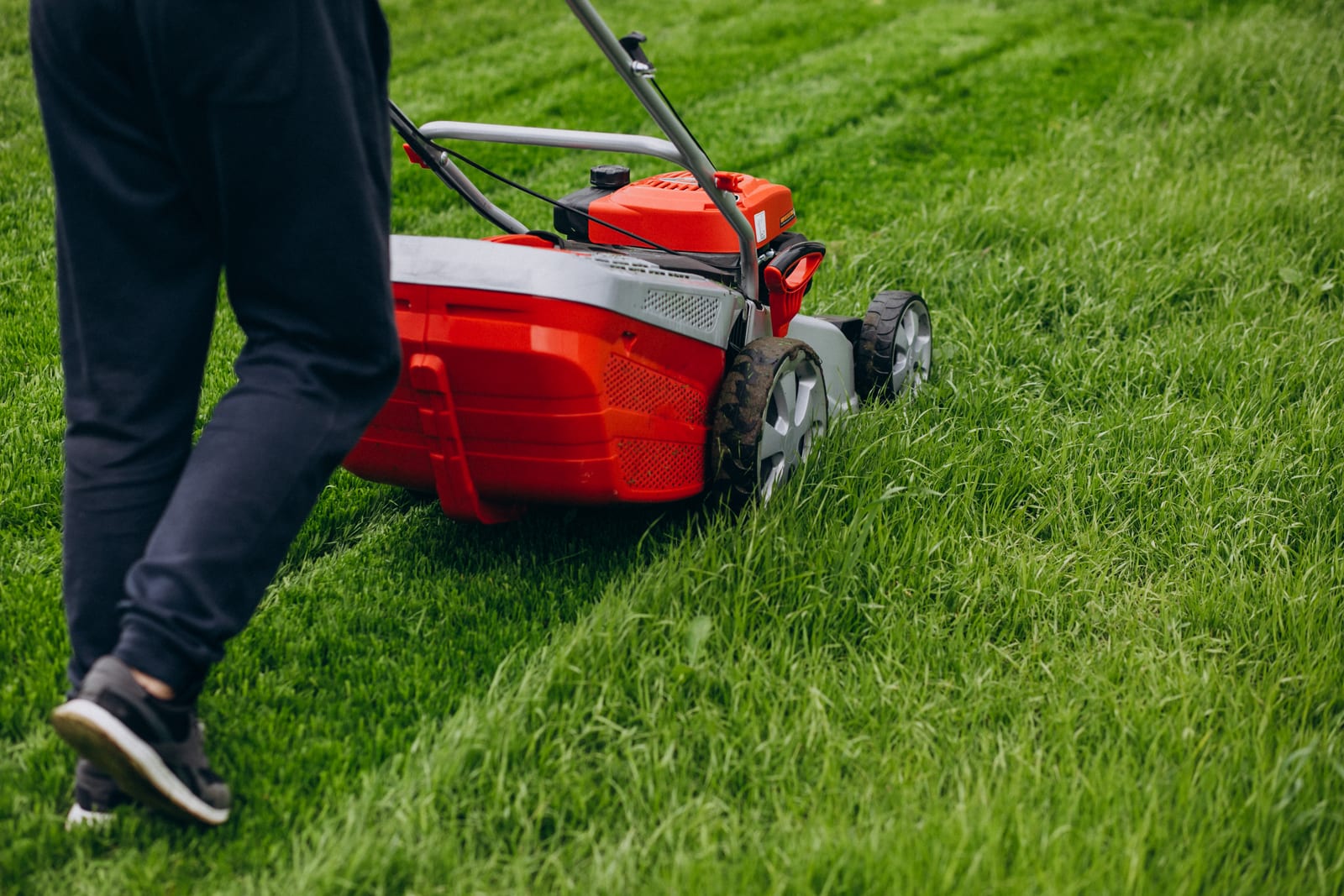 The Ultimate Guide to Grow Revenue for Lawn Services