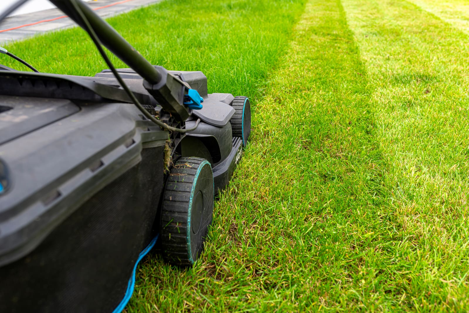 Building a Lawn Care Calendar for All Four Seasons