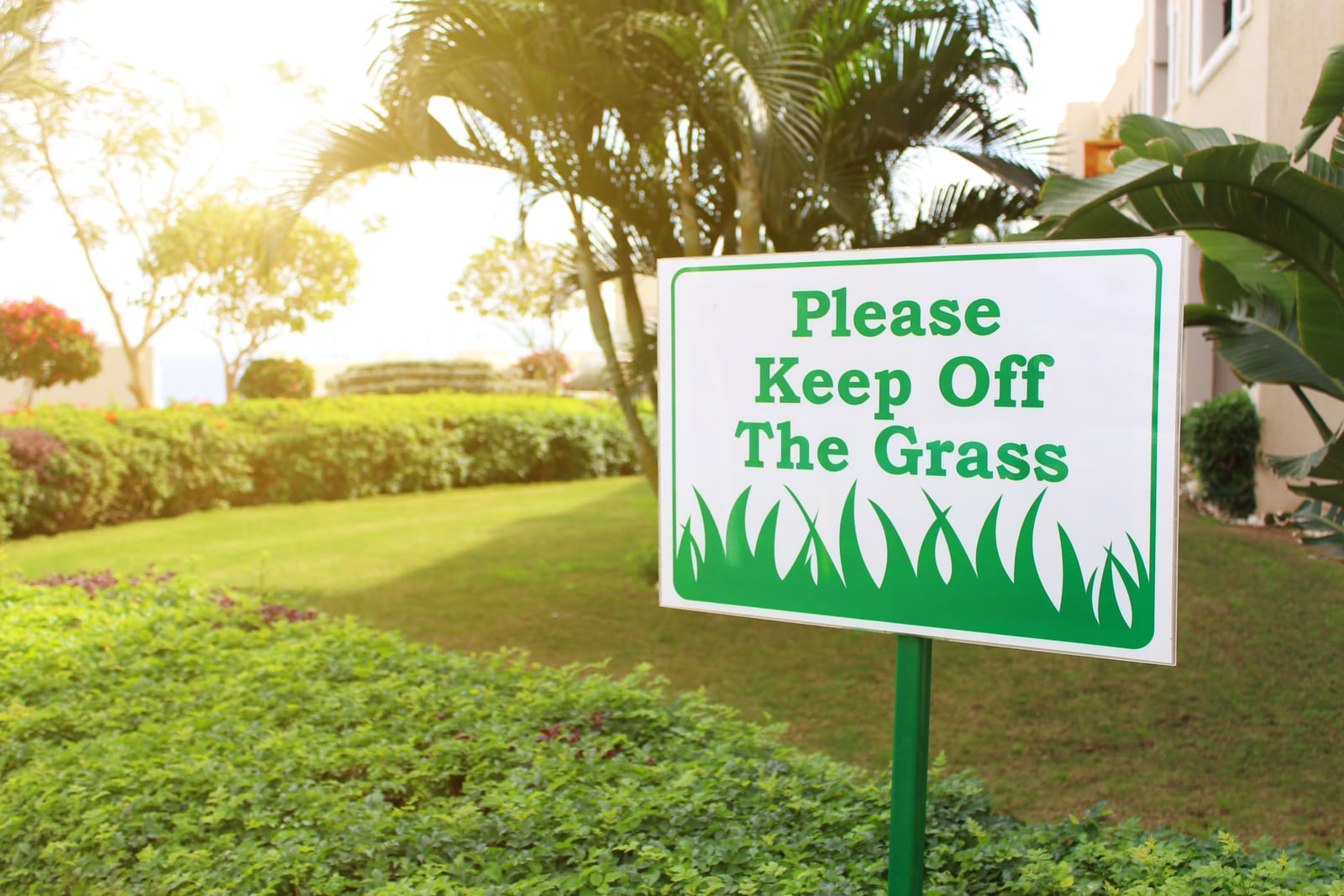 How to Market Spring Start-Up Services Effectively