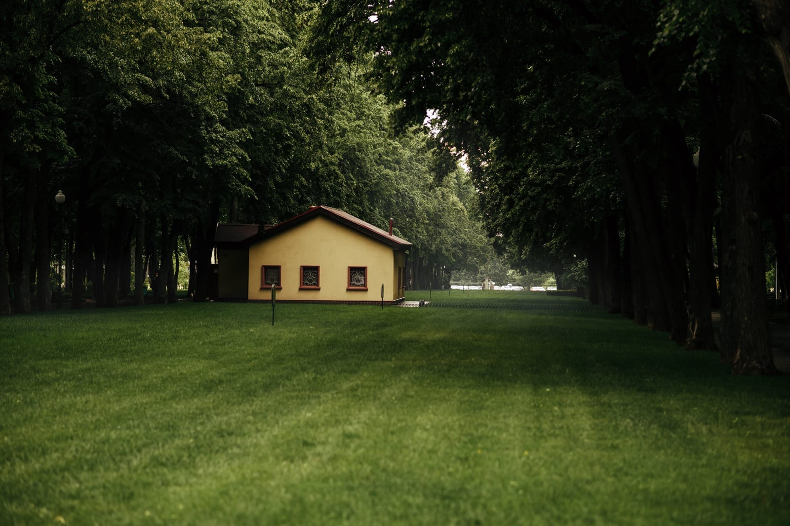 How to Promote Eco-Friendly Lawn Care Through Community Outreach